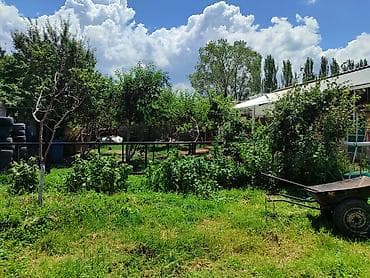 дом на дереве: Продается жилой дом с закрытым двором и большим навесом из — 6