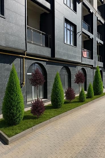 Швея: Ландшафтный дизайн Автополив под ключь 👌🏻🏡 Аман звоните — 6