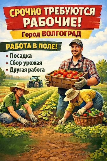 Отели, кафе, рестораны: Требуется Сборщик урожая, Оплата: Ежемесячно — 2