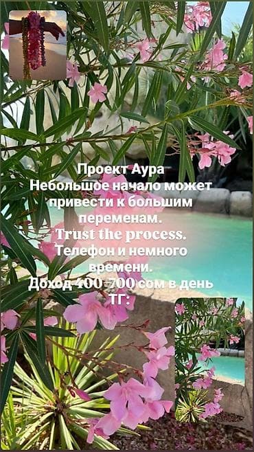 сис админ: Проект «Аура» — удалённая подработка/заработок с ежедневной выплатой — 1