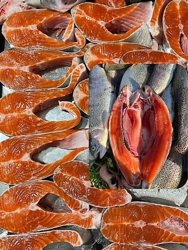 Продукты питания: Свежая форель в Бишкеке Стейки • Филе • Целая рыба Всегда свежая и — 7