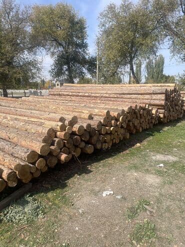 куплю бу мебель: Кругляк сасновое России — 2