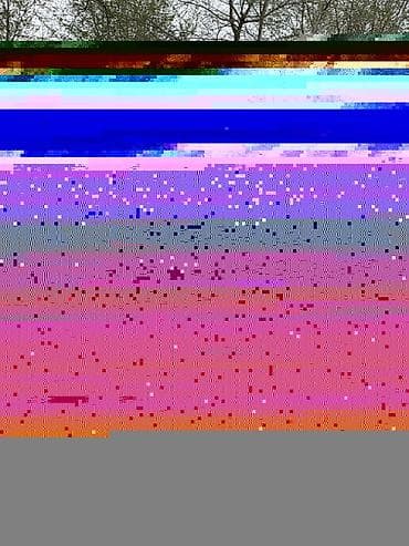 gbt dc: BYD Sea Lion 06: 2026 г., Электромобиль, Кроссовер — 4