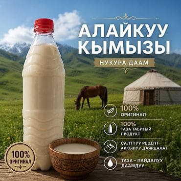 Дом и сад: Кымыз «Алайкуу» — традиционный напиток из кобыльего молока. - 100% — 1