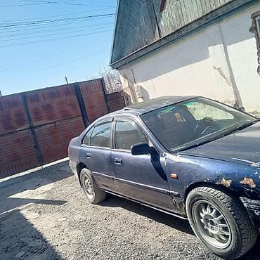 полировка стёкол: Honda Accord: 1993 г., 2 л, Ручные, Бензин, Седан — 3