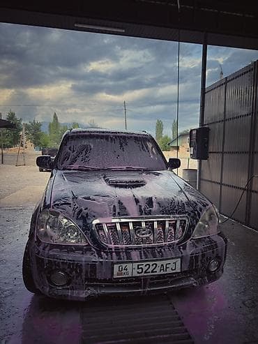 Продажа авто: Hyundai Terracan: 2004 г., 2.9 л, Автомат, Дизель, Внедорожник — 9