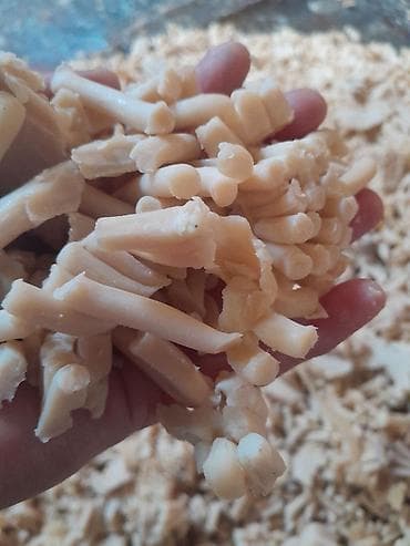 гель порошок: Сырьё для производства мыло Виды и цены за 1 кг (согласно фото): - Ак — 6