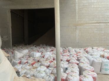 рэгдолл цена: Отруби отруби Отруб отруб Улпак улпак Улпаг улпак Кепек Кебек Кевек — 7