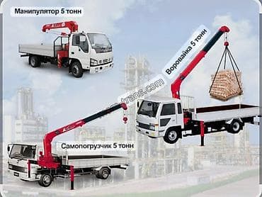 яйца для инкубатор: Услуги Манипулятор Услуги Манипулятор Услуги Манипулятор Услуги — 1