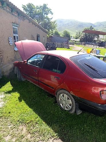 машины за 500 тысяч: Nissan Primera: 1998 г., Механика — 2