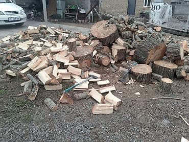 Пикник үчүн товарлар: Отун Кызыл карагай — 3