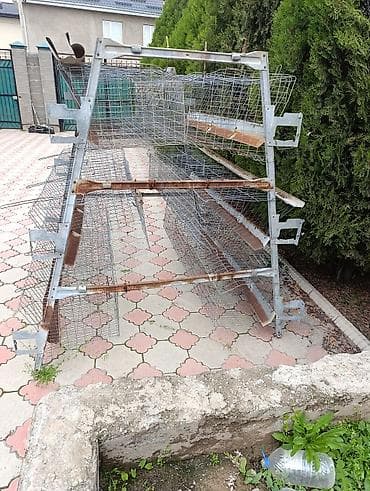 домик для кур: Другая сетка — 2