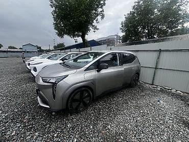 Gac Ayon Y