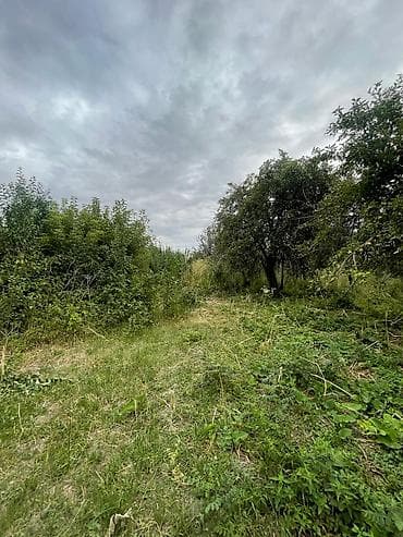 Недвижимость: 30 соток, Для сельского хозяйства — 6