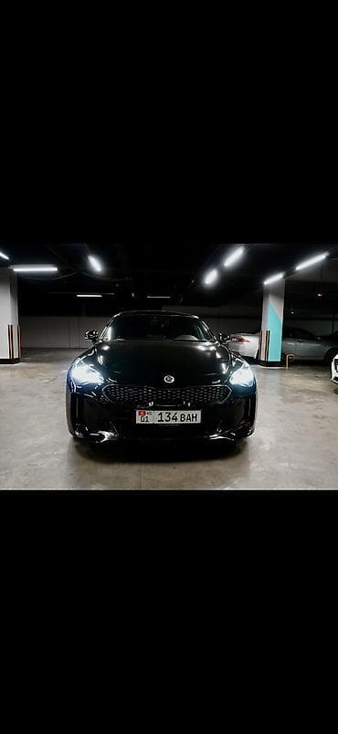 byd plus: Kia Stinger: 2019 г., 2 л, Автомат, Бензин, Лифтбек — 2