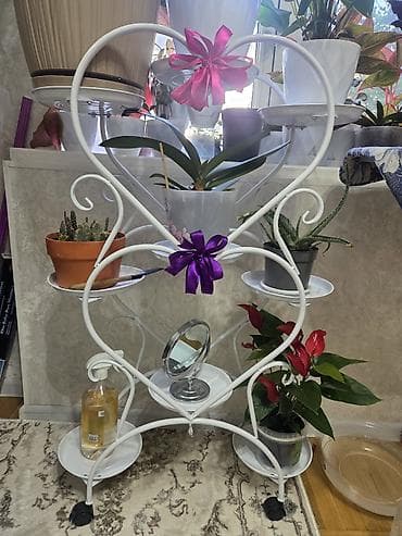 Дом и сад: Полка, этажерка для цветов, Новый, Железо, Самовывоз — 3
