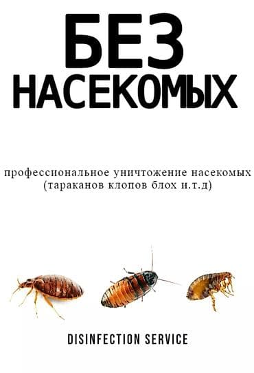 Клининговые услуги: Дезинфекция, дезинсекция, | Тараканы, | Офисы, Транспорт, Квартиры — 2