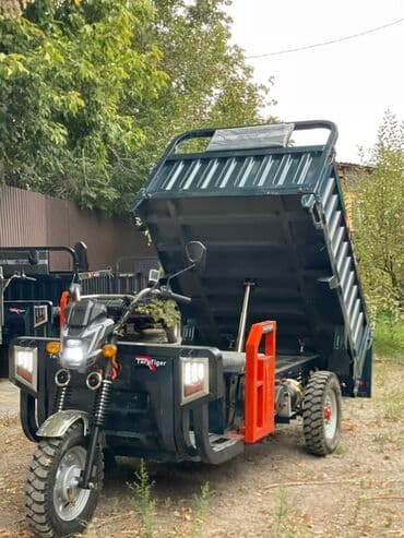 купить трехколесный электроскутер бу: Мотороллер муравей Электро, 80 км, 1500 кг и более, Новый, В рассрочку — 7