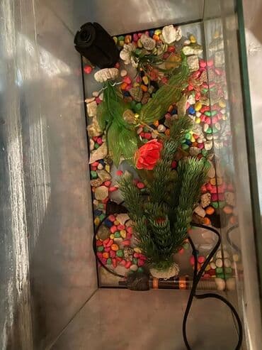 Продам уютный аквариум на 10–15 л! 🔧 Аквариум стоял без рыб, поэтому