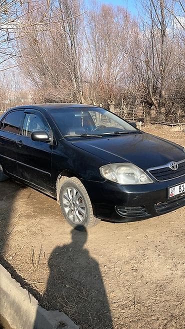 Toyota: Toyota Corolla: 2005 г., 1.6 л, Механика, Бензин, Седан — 5