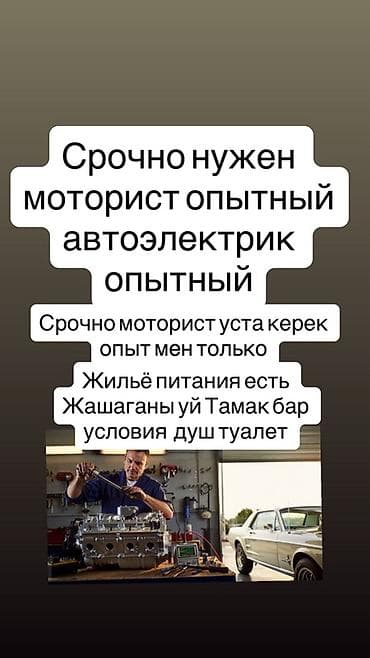 Вакансия: опытный моторист и автоэлектрик Описание: - Требуются