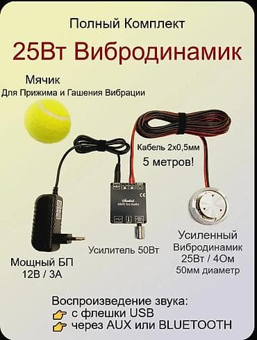 Виброколонки в комплекте 2 колонки по 25вт, усилитель и зарядное
