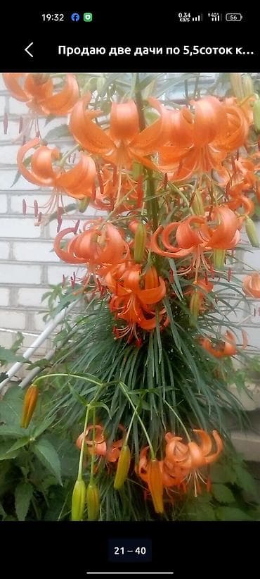 дома в новапокровке: Продаются дачные участки с домом. Объект: - Кирпичный дачный дом на — 6