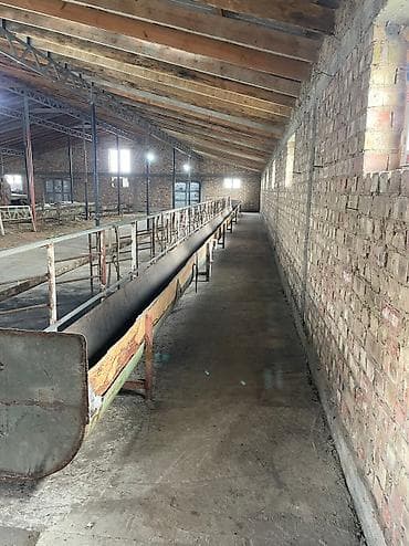 под кошару: Кошара, 20 соток, Действующий, Без оборудования, Отопление, Канализация, Горячая вода — 3