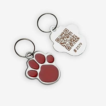 Үй жаныбарлары: Адресники нового поколения для кошек и собак с qr-кодом Размер: ? 3,2 — 3