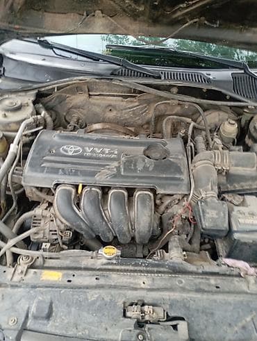 тойота спакио: Toyota Corolla Spacio: 2002 г., Механика, Бензин, Универсал — 2