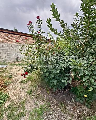 Дома: 🏠Продается дом в с. Сокулук 🟡Комнаты: 3 🟡Участок: 5 соток 🟡Отопление — 3