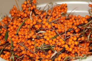 полки для магазина продуктов: Замороженные фрукты, ягоды, Клубника, Шоковая, Оптом — 5