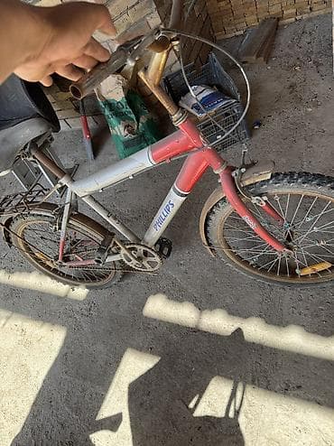 sp 4: Детский велосипед, 2-колесный, 4 - 6 лет — 2