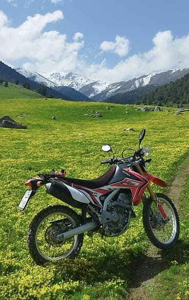 ninja h2: Эндуро Honda, 250 куб. см, Бензин, Взрослый — 1