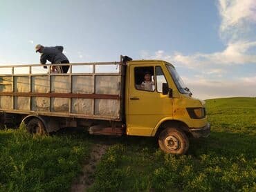 рено т: Грузовик, Mercedes-Benz, Стандарт, 4 т, Б/у — 6