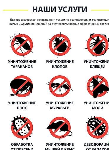 дезинфекция от тараканов бишкек: Дезинфекция, дезинсекция, | Клопы, Блохи, Тараканы, | Транспорт, Офисы, Квартиры — 2