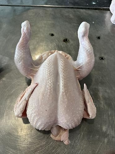 ТУШКА ТООК ЭТИ САТЫЛАТ🍗 Грильный весь1,3-1,6 кг га чейин 240сом