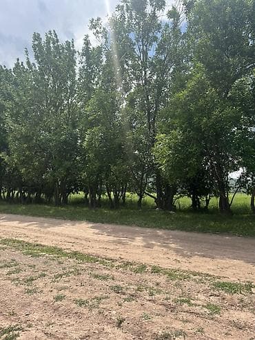 8 соток, Для строительства, Красная книга, Договор купли-продажи at lalafo.kg 8 соток, Для строительства, Красная книга, Договор купли-продажи