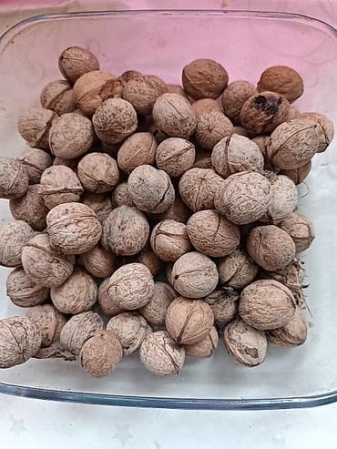 Продукты питания: Чукума. Продаю грецкие орехи, 2 мешка, вкусные, село АК Жол, пост ГАИ — 1