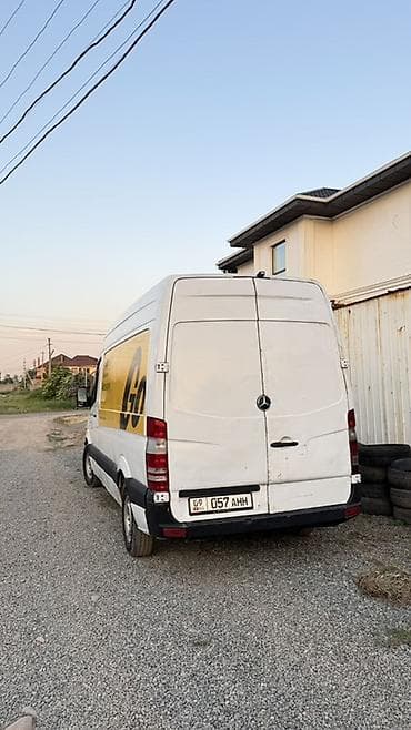 кенгуратник спринтер: Легкий грузовик, Mercedes-Benz — 4