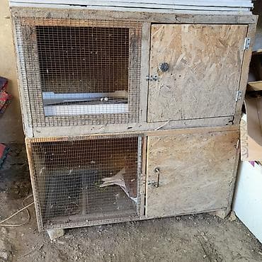 большие ящики: Двухуровневая клетка/вольер для мелких животных и птицы. - — 1