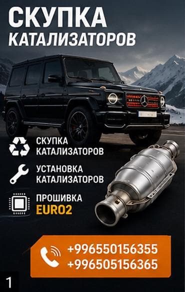 mini vci: Сервис по работе с автомобильными каталитическими нейтрализаторами — 1