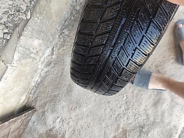 Зимний R15