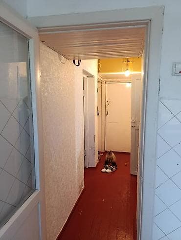 сдаю квартиру 5мкр: 1 комната, 33 м², Хрущевка, 5 этаж, Старый ремонт — 5