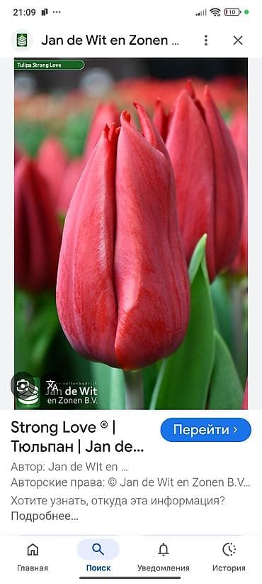 ящики оптом: Платная доставка — 7