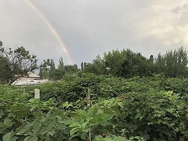 Ежевика В розницу, Оптом — 2
