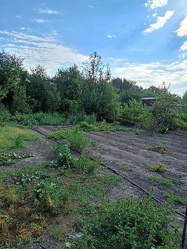 сдаю дом бишкек: Продаю большой дом из 6комнат с условиями есть 2комнт времянка во — 7