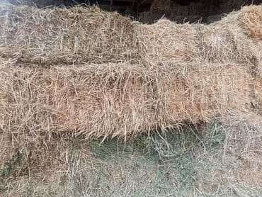 продам бу оборудование для птицефабрики: Сено в тюках - Натуральное луговое сено, спрессованное в — 2