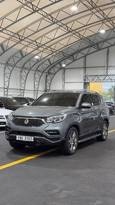 shadow line: Ssangyong Rexton: 2019 г., Внедорожник — 8