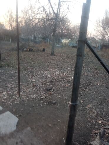 квартиры в бишкеке аренда долгосрочно восток 5: Дом, 35 м², 4 комнаты, Собственник, Косметический ремонт — 6